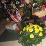cvecara-ikebana-becej